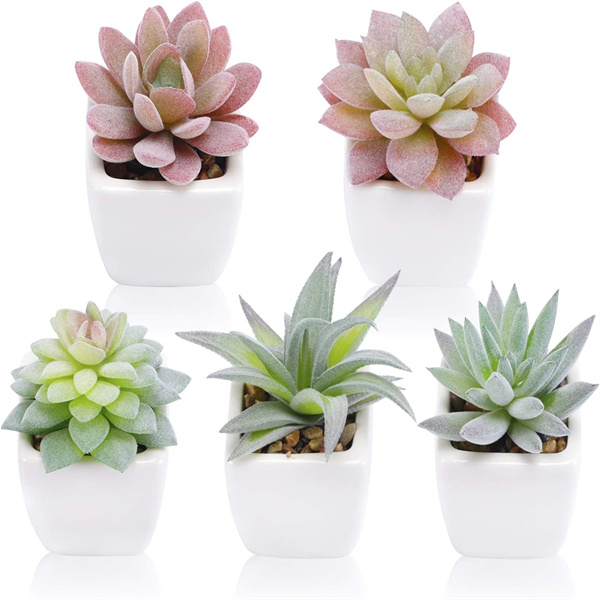 Decorative Faux Succulents Wholesale
