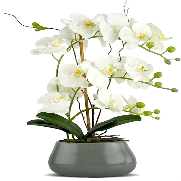 OEM potted Faux Phalaenopsis Supplier