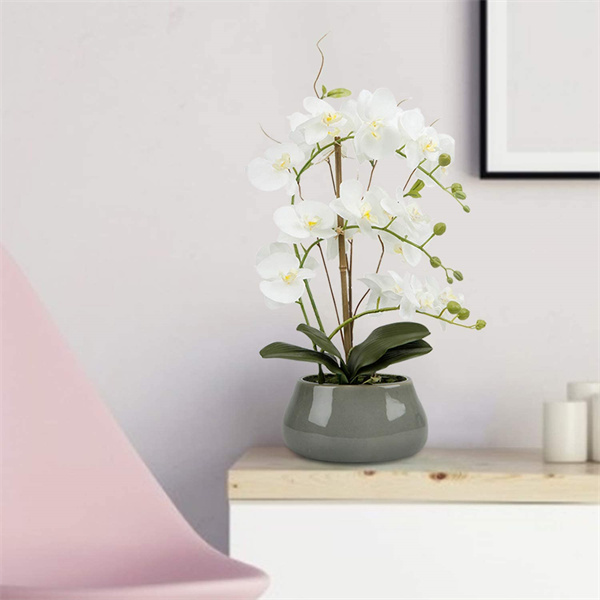 Potted Faux Phalaenopsis Distributor