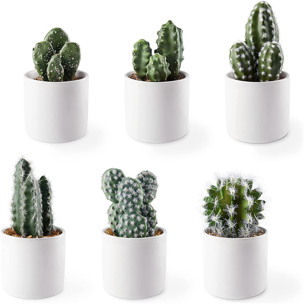 Wholesale Potted Artificial Cactus