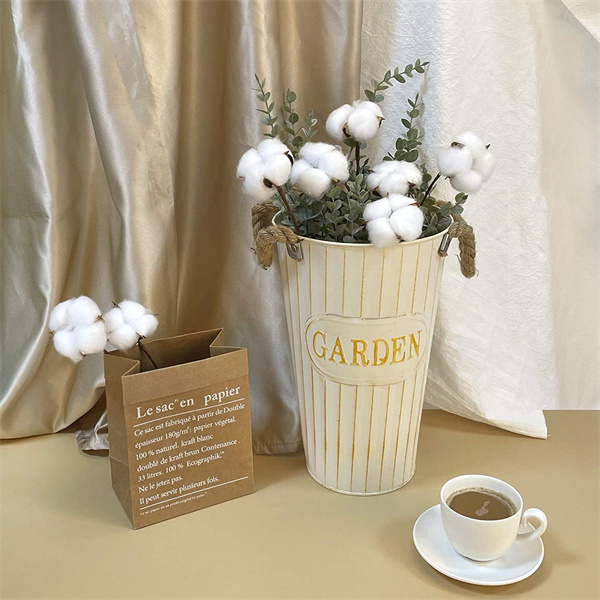 Cotton Flower Stem Distributor
