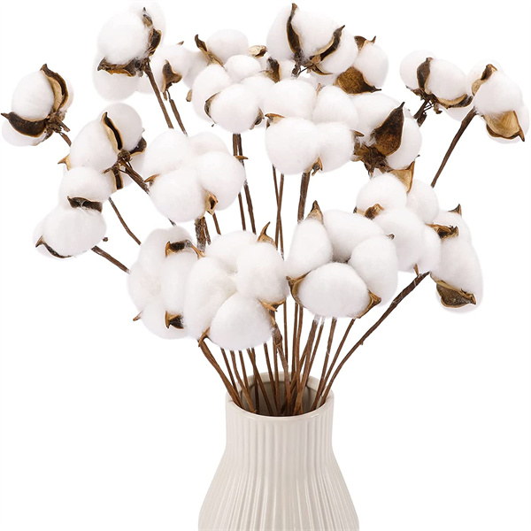 Cotton Flower Stem Distributor