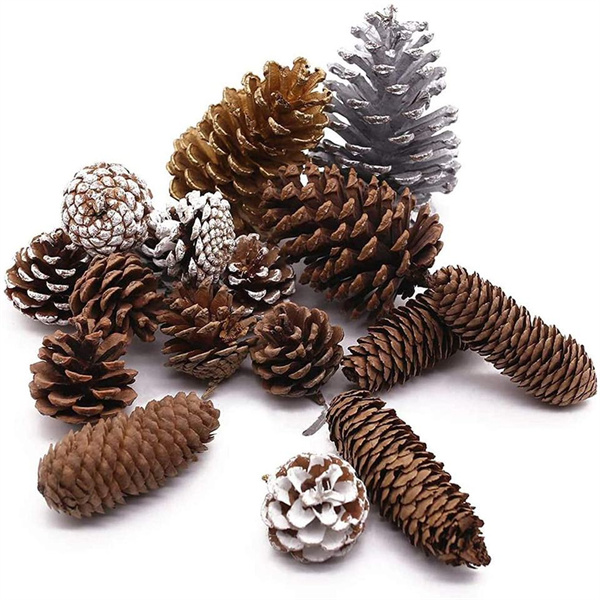 Decorative Pine Cone Supplier