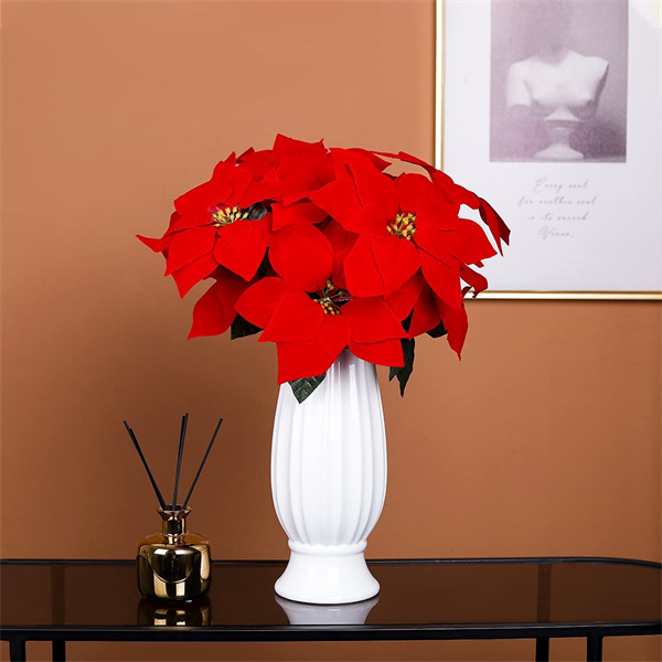 Red Poinsettia Flower Wholesaler