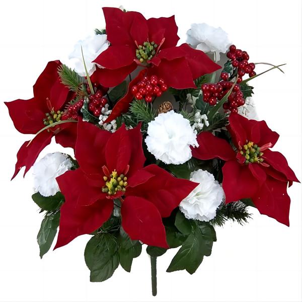 Christmas Flower(1)