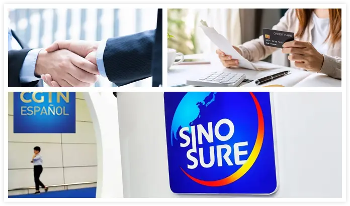 Flexible Payment Methods