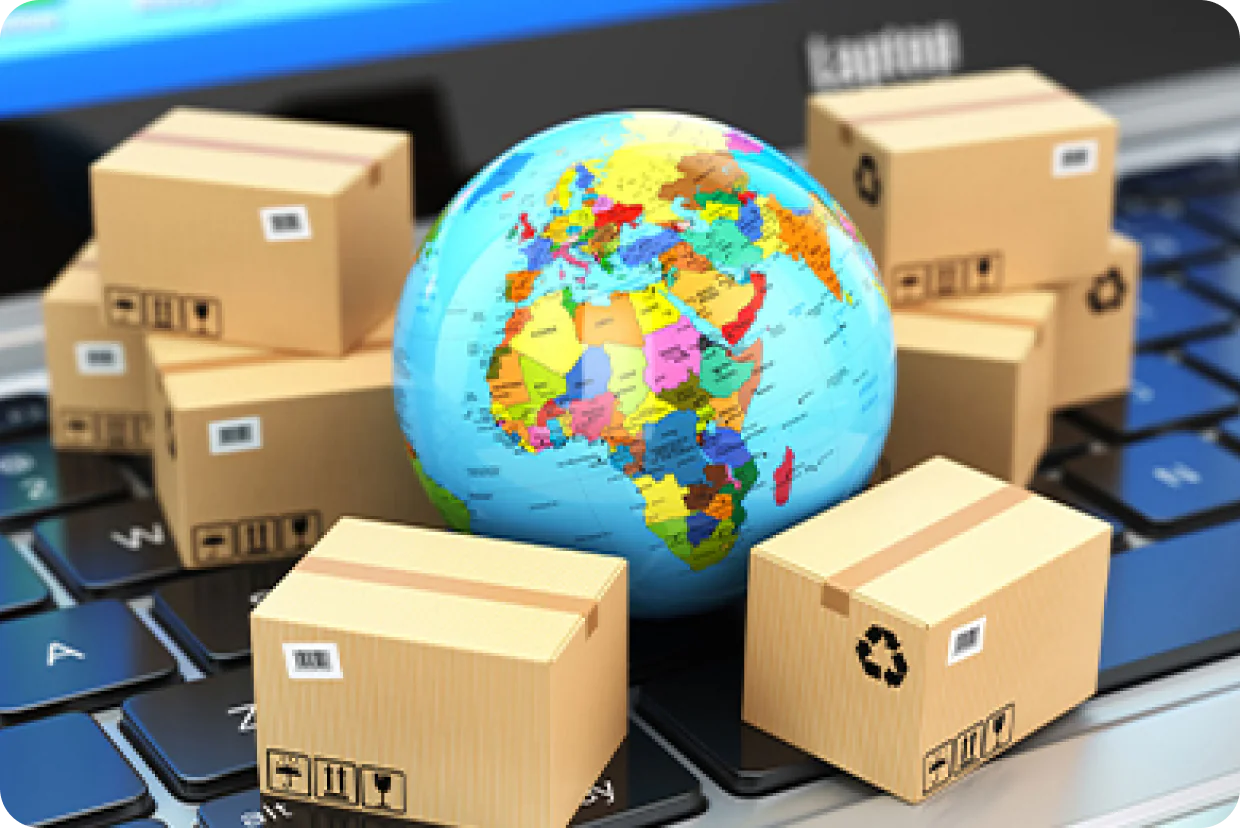 Logistic and Warehouse Services