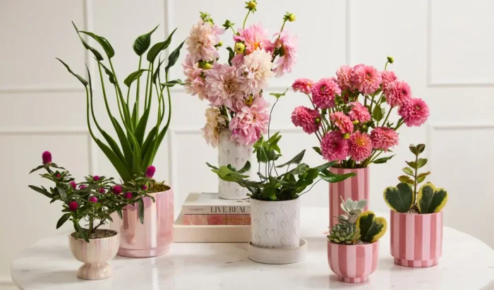 wholesale flower vases 02 2025022607263034