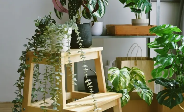 artificial plant supplier