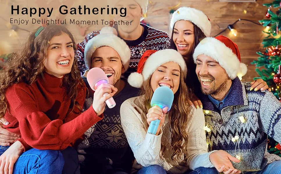 Party Use Microphone Supplier 6