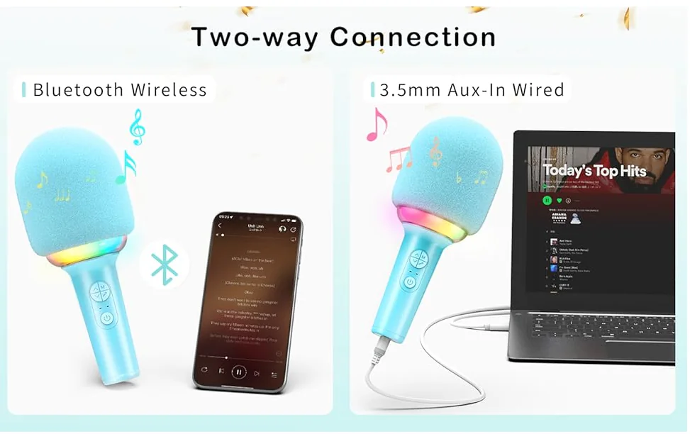 Party Use Microphone Supplier 7 2025092913452038