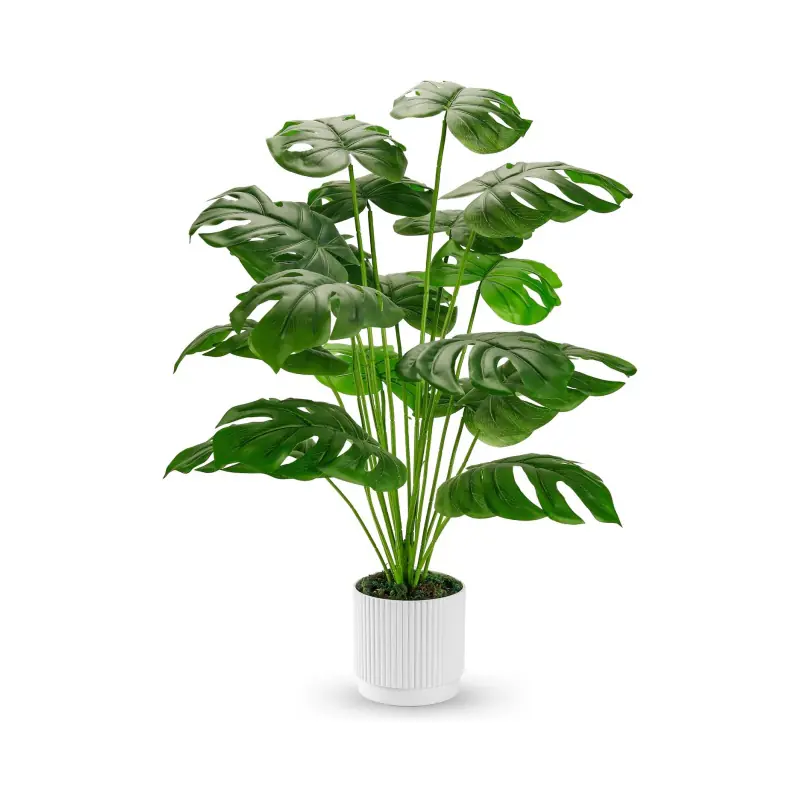 Indoor Potted Plants Supplier-1
