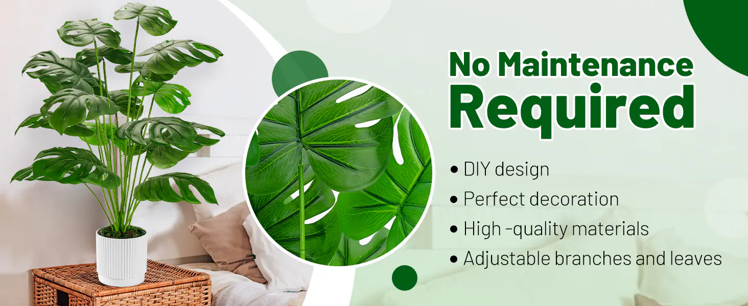 Indoor Potted Plants Supplier-5