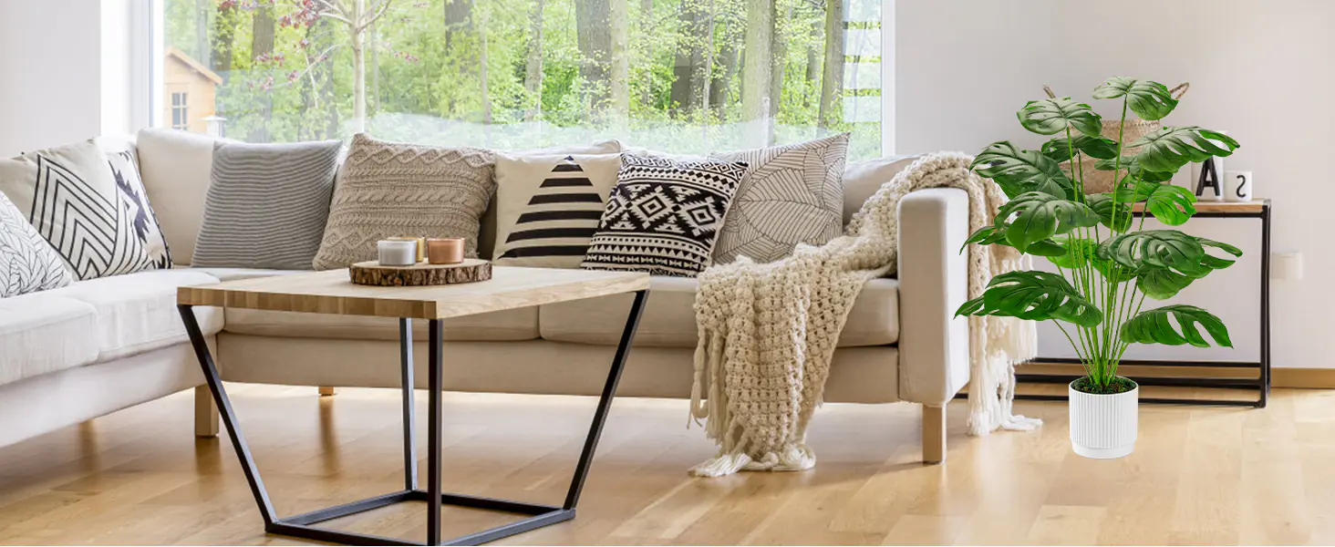 Indoor Potted Plants Supplier-6