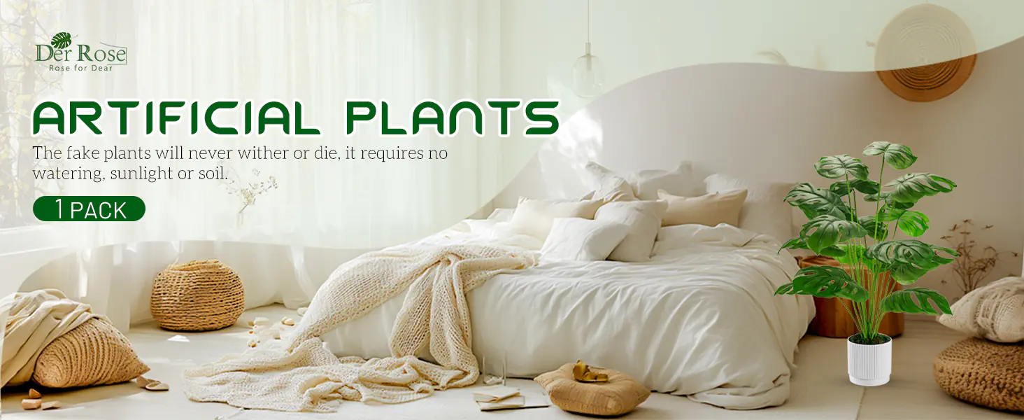 Indoor Potted Plants Supplier-7