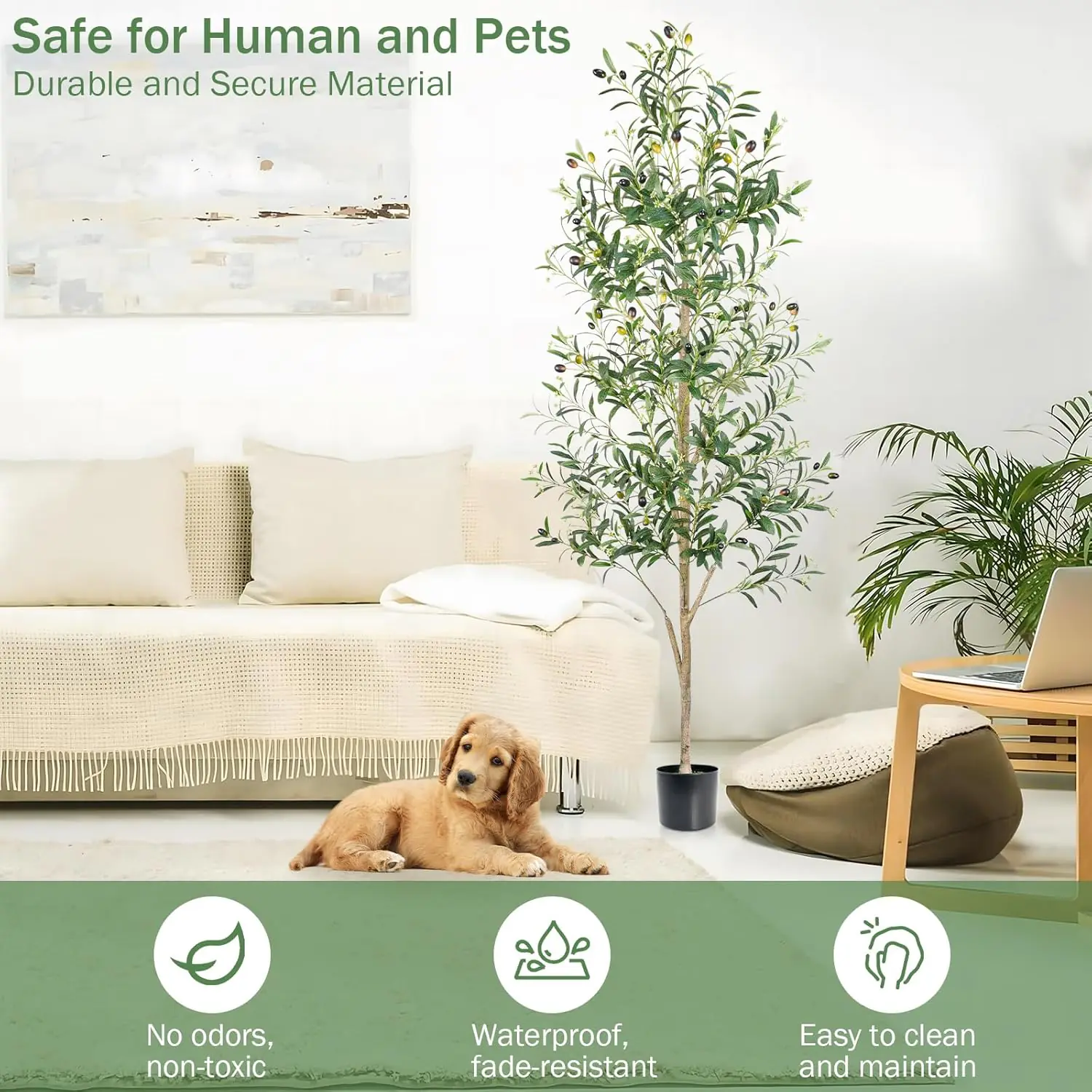 Indoor Potted Plants Wholesaler-3