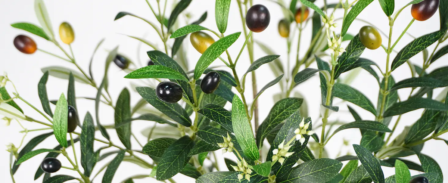 Indoor Potted Plants Wholesaler-5