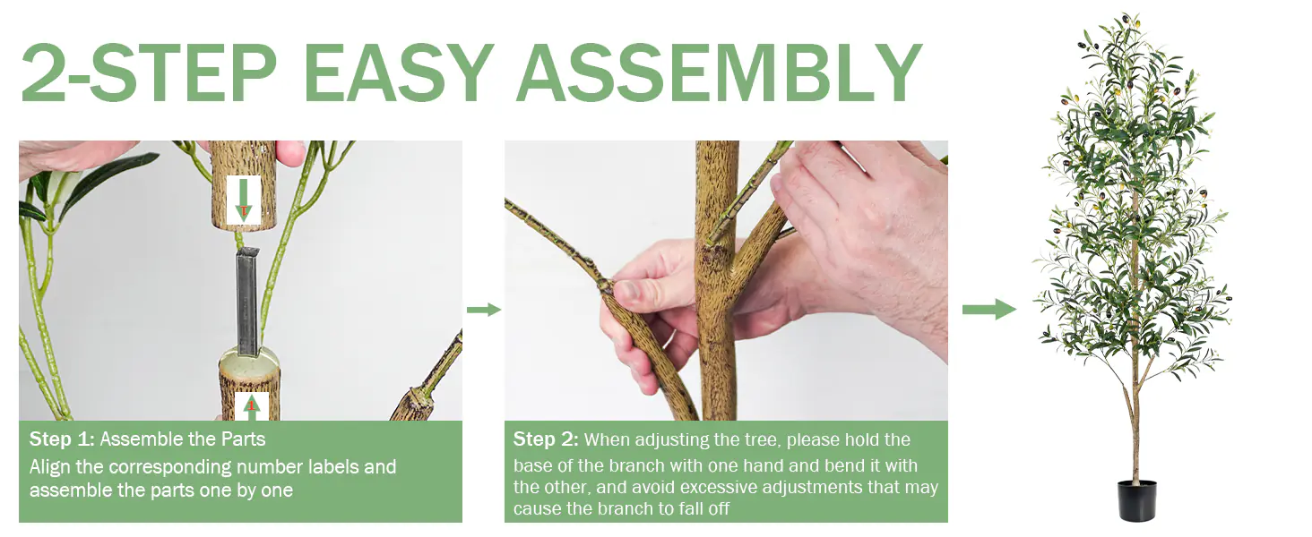 Indoor Potted Plants Wholesaler-6