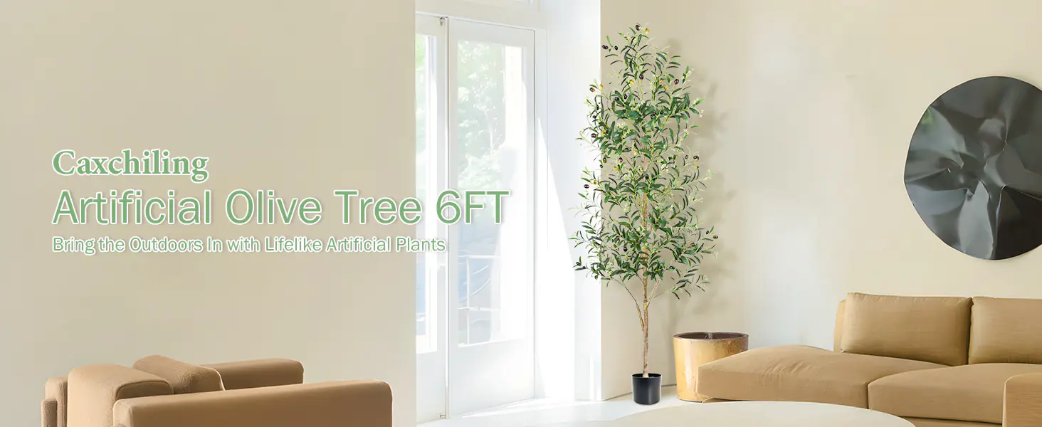 Indoor Potted Plants Wholesaler-7