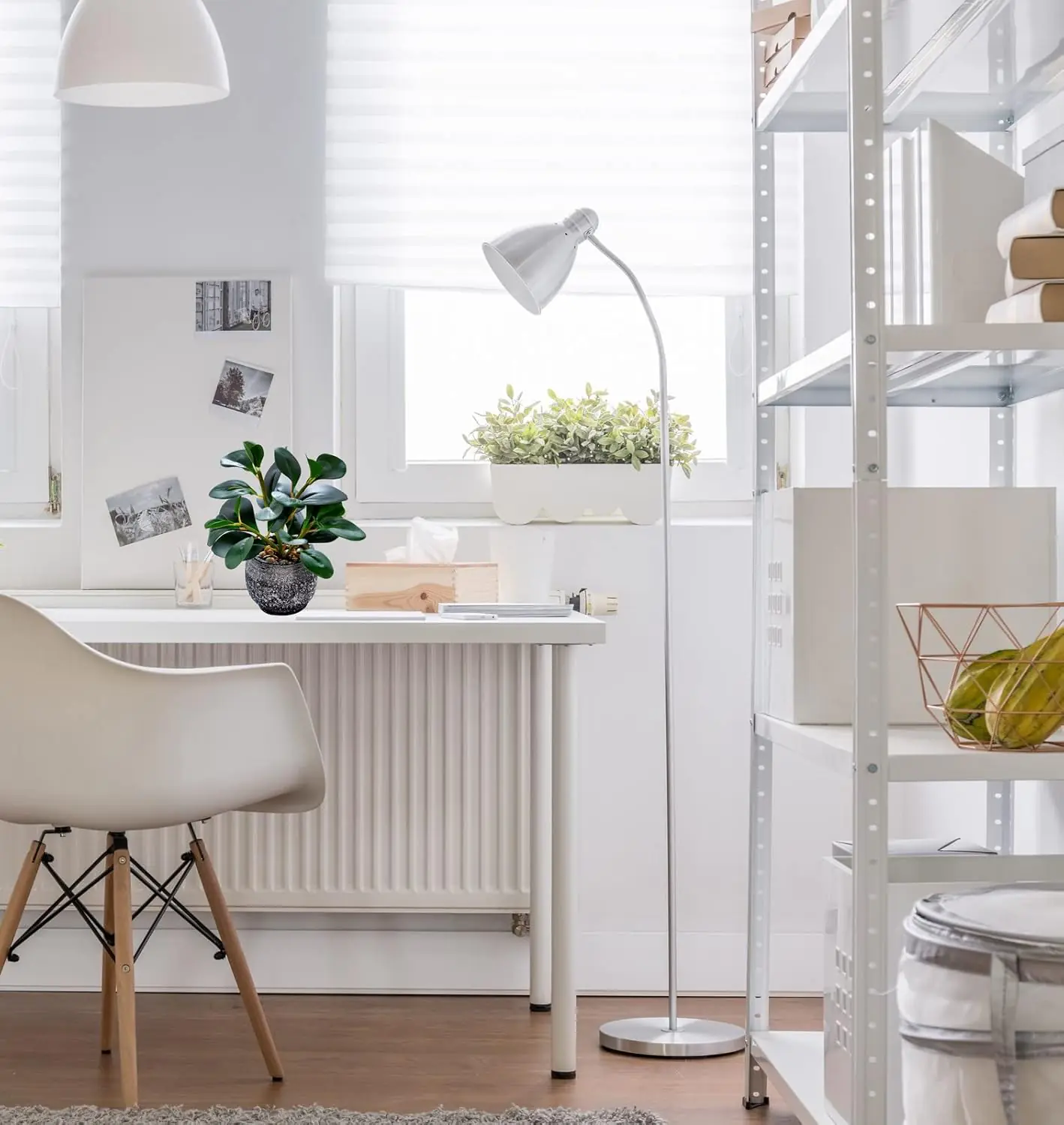 Indoor Potted Plants Wolesaler -2