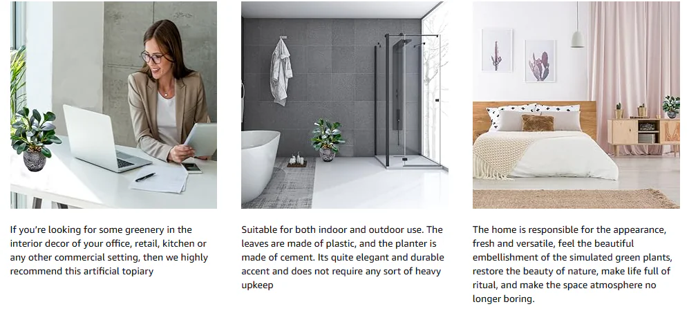 Indoor Potted Plants Wolesaler -6