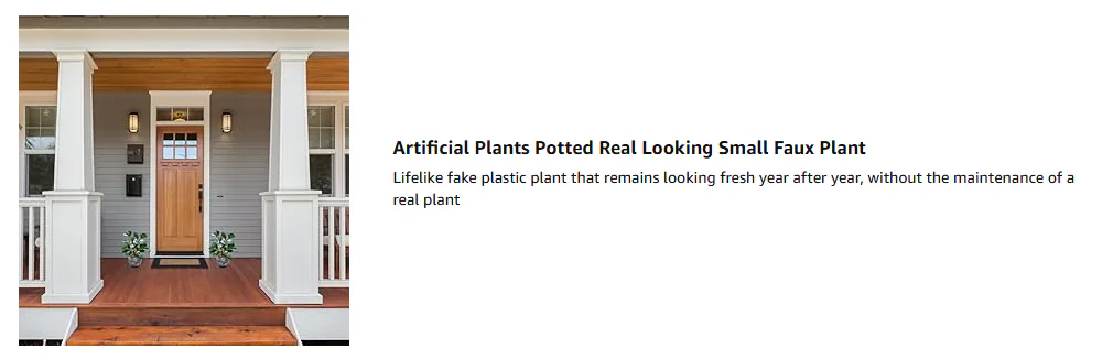 Indoor Potted Plants Wolesaler -7