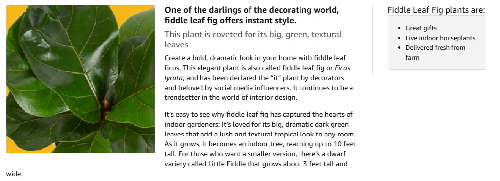 Indoor Potted Plants supplier-6