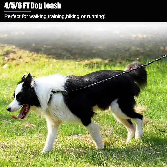 5.5-foot black pet leash