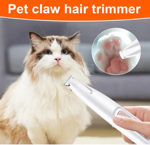 Pet Supplies Supplier 2 2026011607274194